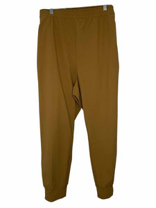 North Face Size 3X Brown New w/ Tags Pants- Ladies