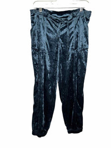 Size Large Teal Pre-Owned Pants- Ladies