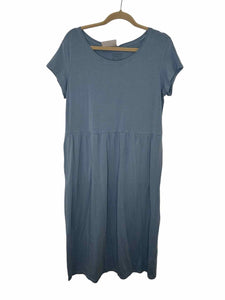 Patagonia Size Medium Blue Pre-Owned Dress- Ladies